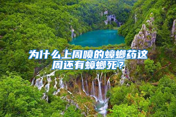 為什么上周噴的蟑螂藥這周還有蟑螂死？