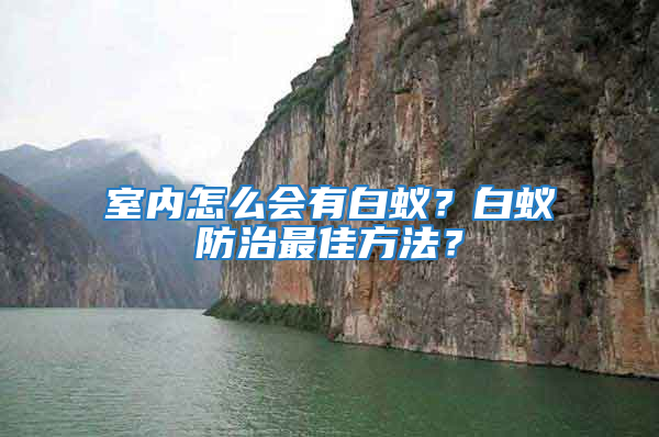 室內怎么會有白蟻？白蟻防治最佳方法？