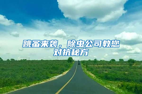 跳蚤來襲，除蟲公司教您對抗秘方