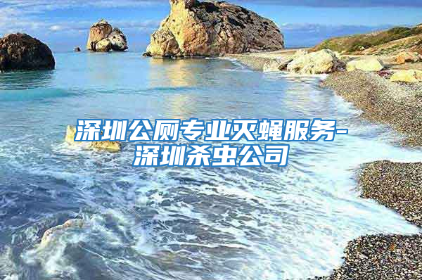 深圳公廁專業滅蠅服務-深圳殺蟲公司