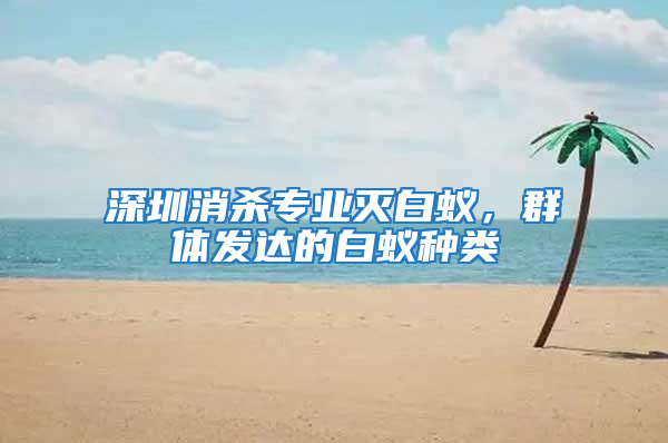 深圳消殺專業滅白蟻，群體發達的白蟻種類