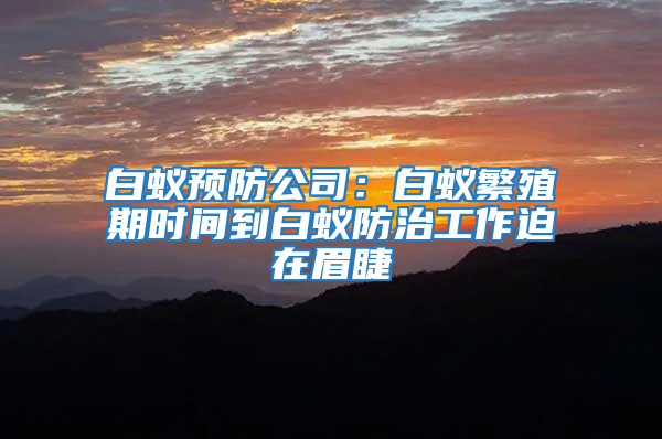 白蟻預防公司：白蟻繁殖期時間到白蟻防治工作迫在眉睫