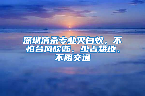 深圳消殺專業滅白蟻，不怕臺風吹斷、少占耕地、不阻交通