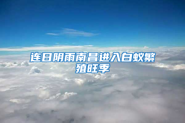 連日陰雨南昌進入白蟻繁殖旺季