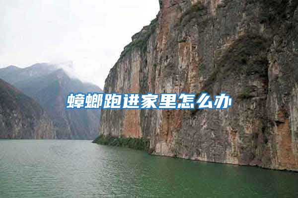 蟑螂跑進(jìn)家里怎么辦