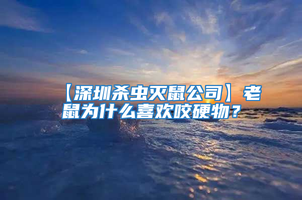 【深圳殺蟲滅鼠公司】老鼠為什么喜歡咬硬物？
