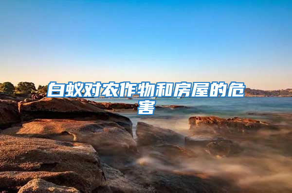 白蟻對農(nóng)作物和房屋的危害