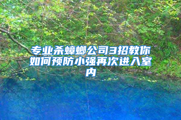 專業殺蟑螂公司3招教你如何預防小強再次進入室內