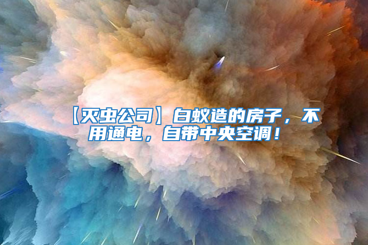 【滅蟲公司】白蟻造的房子，不用通電，自帶中央空調！