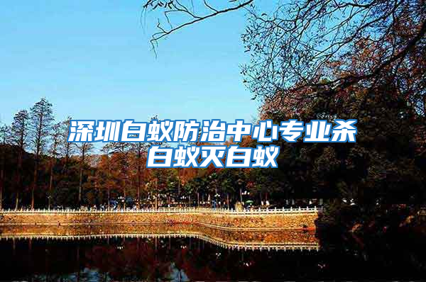 深圳白蟻防治中心專業殺白蟻滅白蟻