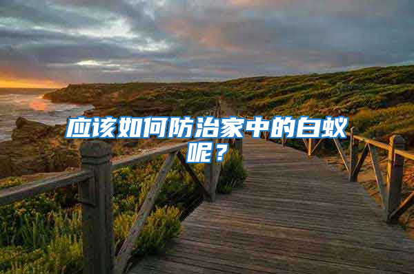 應該如何防治家中的白蟻呢？