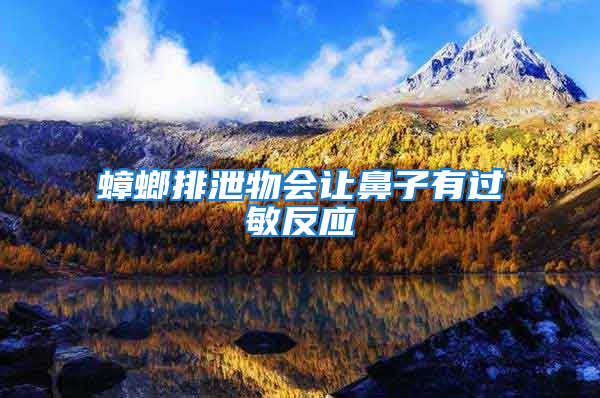 蟑螂排泄物會讓鼻子有過敏反應(yīng)