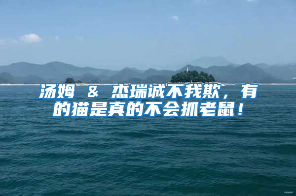 湯姆 & 杰瑞誠不我欺，有的貓是真的不會(huì)抓老鼠！