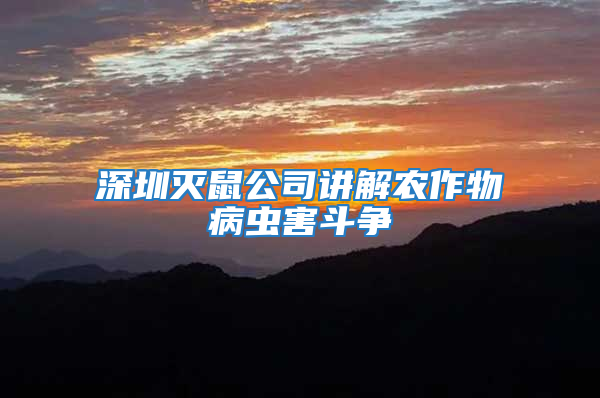 深圳滅鼠公司講解農作物病蟲害斗爭