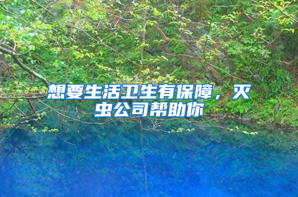 想要生活衛生有保障，滅蟲公司幫助你
