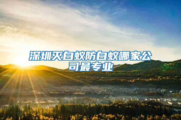 深圳滅白蟻防白蟻哪家公司最專(zhuān)業(yè)