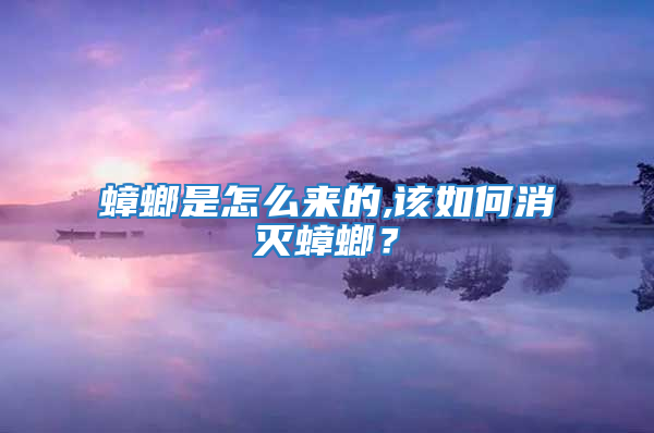 蟑螂是怎么來的,該如何消滅蟑螂？