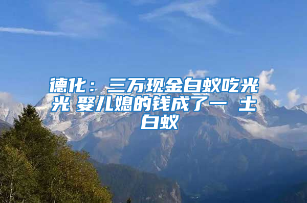德化：三萬現金白蟻吃光光　娶兒媳的錢成了一抔土 白蟻