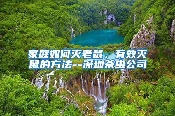 家庭如何滅老鼠，有效滅鼠的方法--深圳殺蟲公司