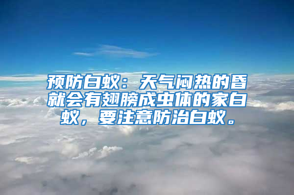 預防白蟻：天氣悶熱的昏就會有翅膀成蟲體的家白蟻，要注意防治白蟻。