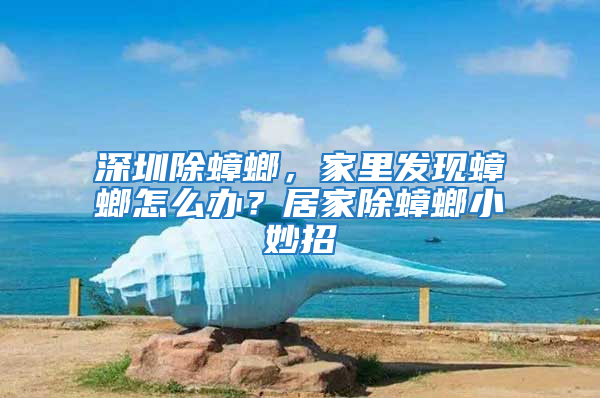 深圳除蟑螂，家里發現蟑螂怎么辦？居家除蟑螂小妙招