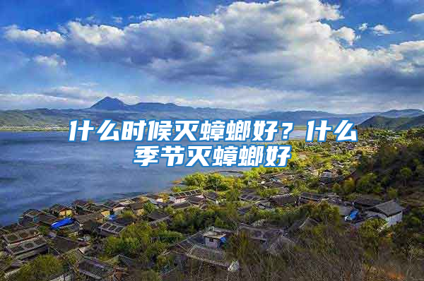 什么時候滅蟑螂好？什么季節滅蟑螂好
