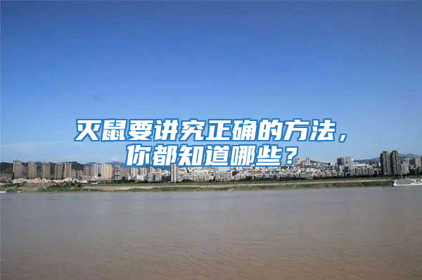 滅鼠要講究正確的方法，你都知道哪些？