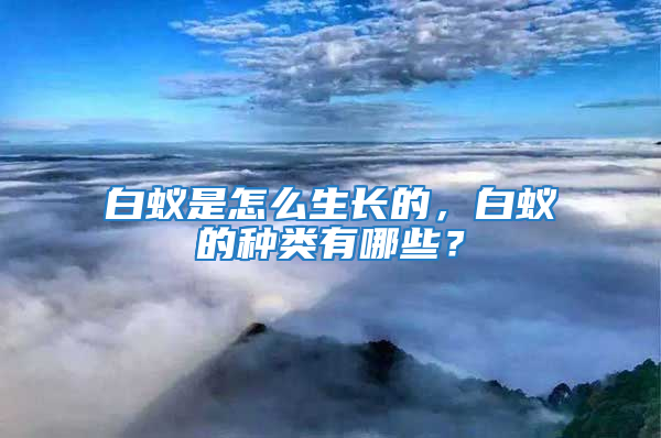 白蟻是怎么生長的，白蟻的種類有哪些？