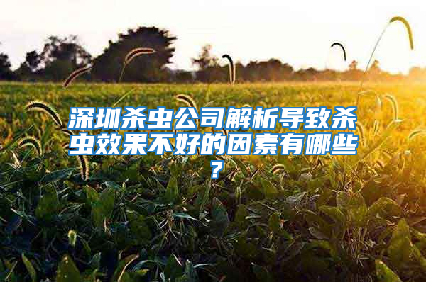 深圳殺蟲公司解析導(dǎo)致殺蟲效果不好的因素有哪些？