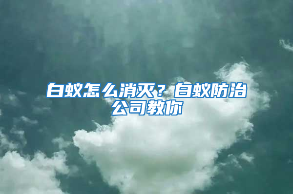 白蟻怎么消滅？白蟻防治公司教你