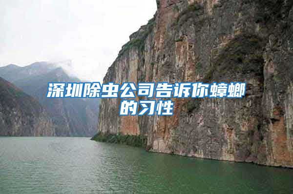 深圳除蟲公司告訴你蟑螂的習性