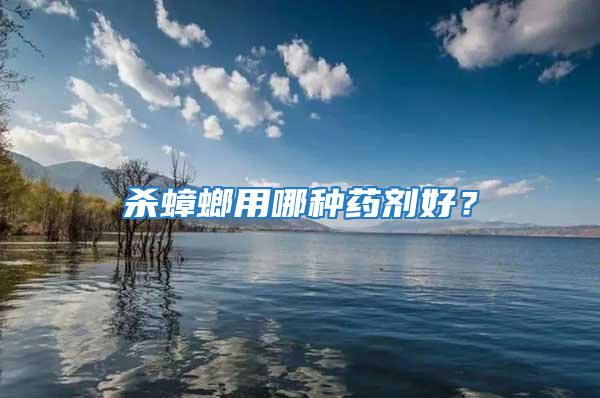 殺蟑螂用哪種藥劑好？