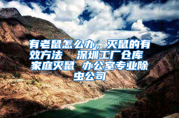 有老鼠怎么辦，滅鼠的有效方法  深圳工廠倉庫 家庭滅鼠 辦公室專業(yè)除蟲公司