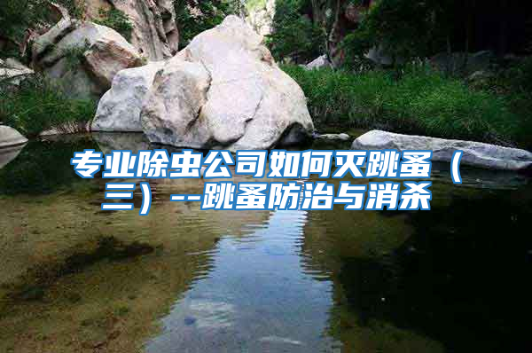 專業除蟲公司如何滅跳蚤（三）--跳蚤防治與消殺