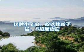 這種小飛蟲(chóng)，咬人比蚊子猛，6招能治它