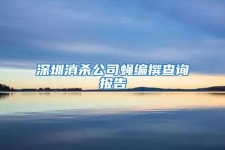 深圳消殺公司蠅編撰查詢報告
