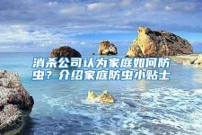 消殺公司認為家庭如何防蟲？介紹家庭防蟲小貼士