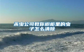 殺蟲(chóng)公司教你櫥柜里的蟲(chóng)子怎么清除