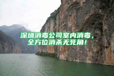深圳消毒公司室內(nèi)消毒，全方位消殺無死角！