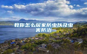 教你怎么居家防蟲(chóng)以及蟲(chóng)害防治