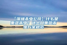 【深圳殺蟲公司】什么是熏蒸殺蟲？進(jìn)出口熏蒸殺蟲方案規(guī)范